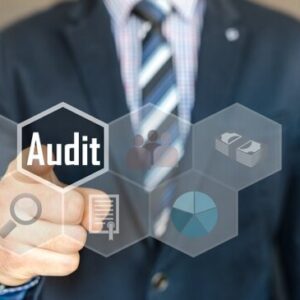 Website Optimization Audit